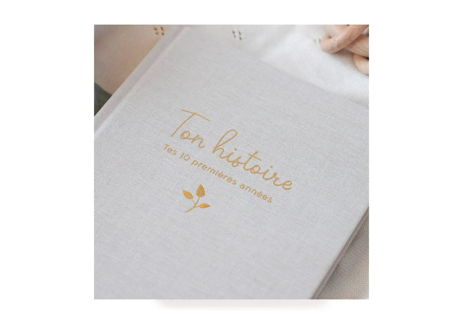 Livre Souvenirs tes 10 premières années Zü 