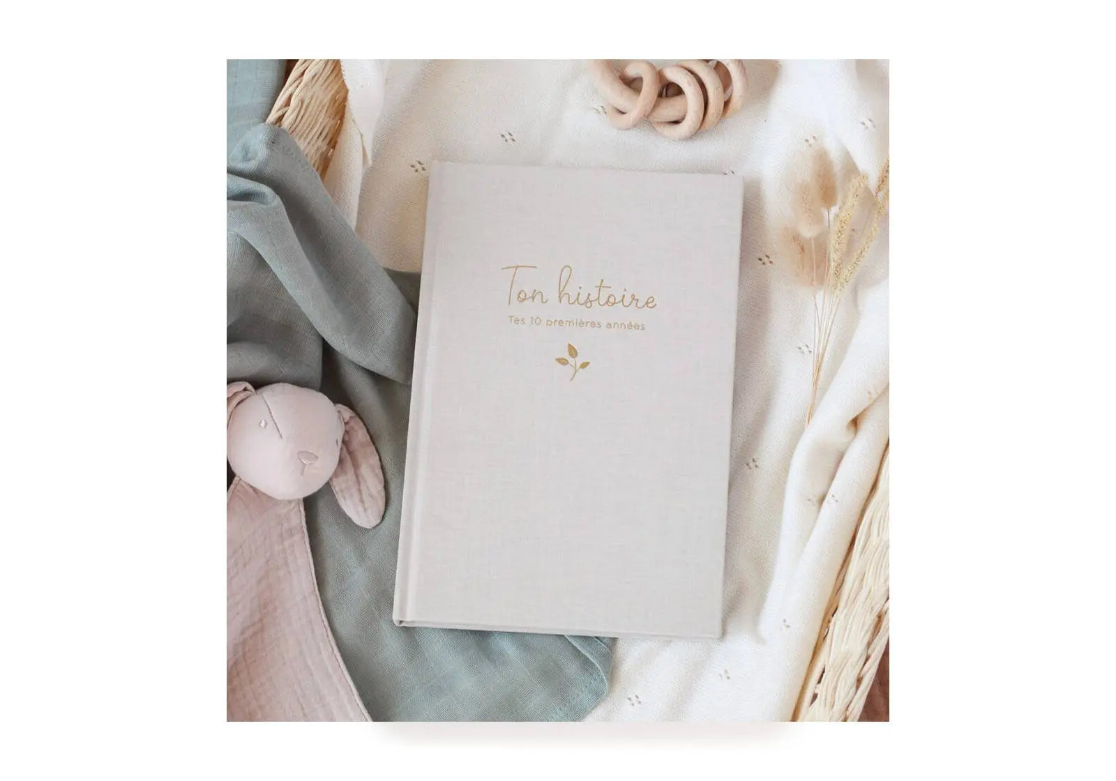 Livre Souvenirs tes 10 premières années Zü 