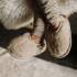 Chaussons en laine vierge Alwero - Naturel