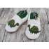 Chaussons en cuir souple Lookidz - Dino 3/6 mois